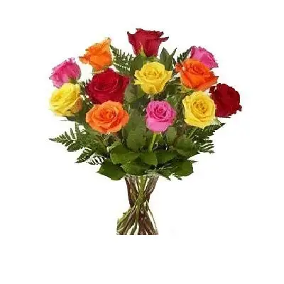 Dozen Multicolor Roses