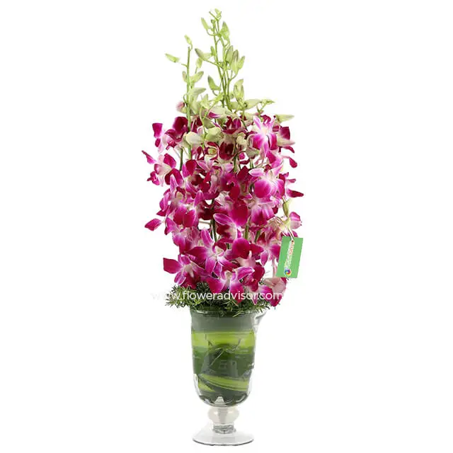 Purple Orchids Vase - Congratulations
