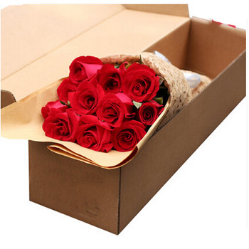 Basic Red Rose Box - Red Roses