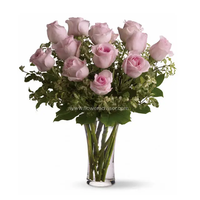 A Dozen of  Long Stemmed Pink Roses - Pink Roses