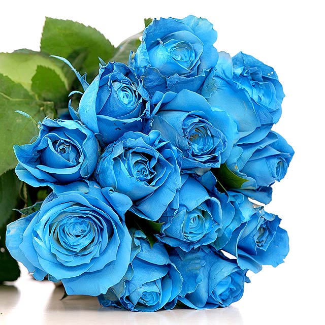 Rare  Sapphire - Blue Roses