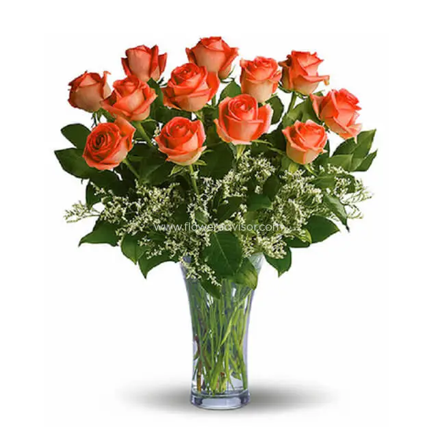12 Long Stemmed Orange Roses - Orange Roses