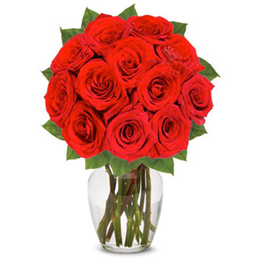One Dozen Red Roses (Vase is not included) - Valentine's Day