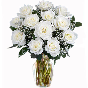 12 Long Stem White Roses - Valentine's Day