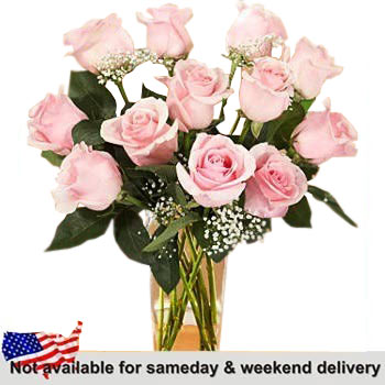 12 Long Stemmed Pink Roses in Square Vase - Secretary Week