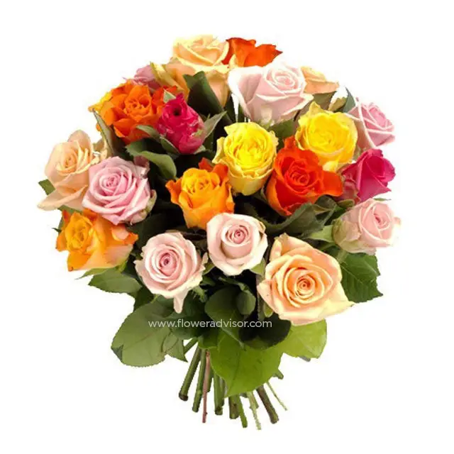 12 Mixed Coloured Roses Bouquet - Hand Bouquets
