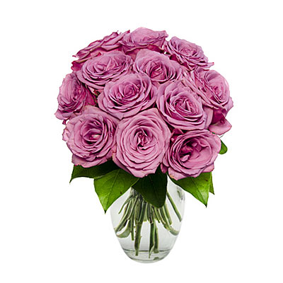 One Dozen Purple Roses  (Vase is not included) - Valentine's Day