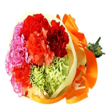 Colorful Carnations - Carnation