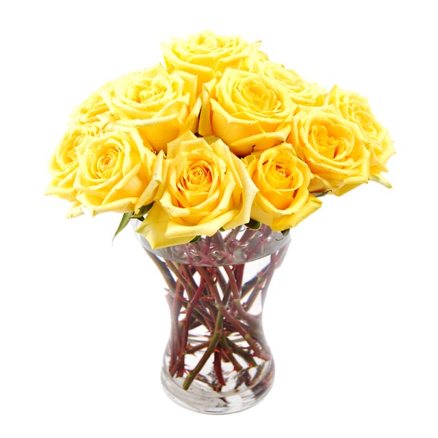 12 Yellow Roses - 