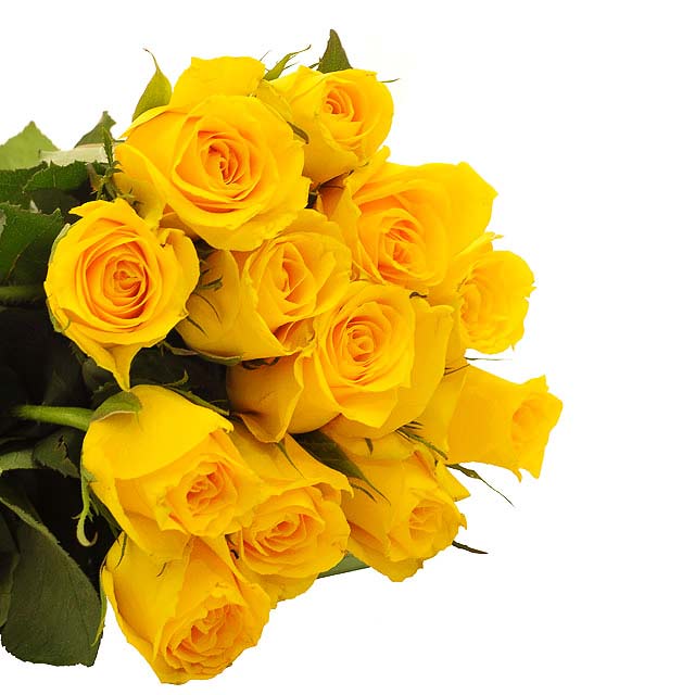 Soulful Sunshine Yellow Roses - I am Sorry