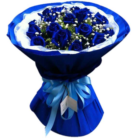 Blue in Love - Blue Roses