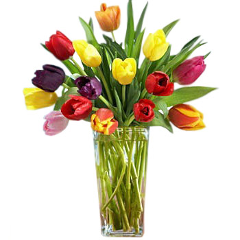 15 Multi Colored Tulips Hand Bouquet - Get Well Soon