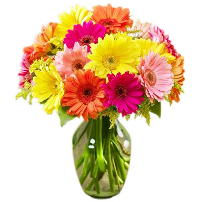 Colorful Gerbera Daisies in ginger vase - Mothers Day