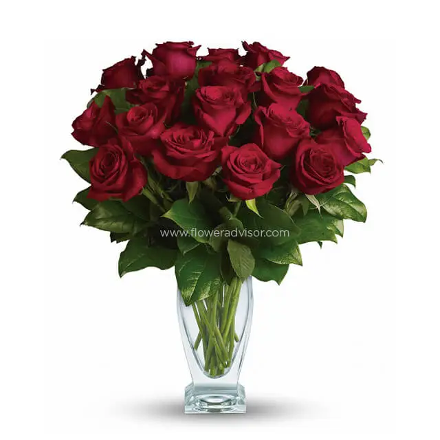 Eighteen Red Long Stem Roses - Red Roses
