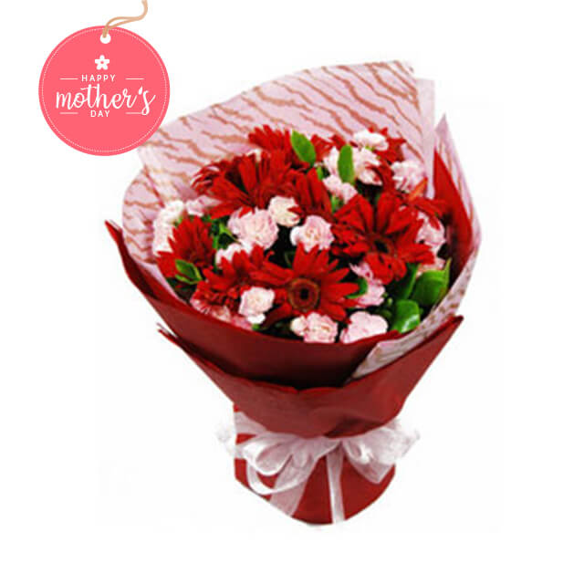 Pinky Sweet Carnations - Carnation