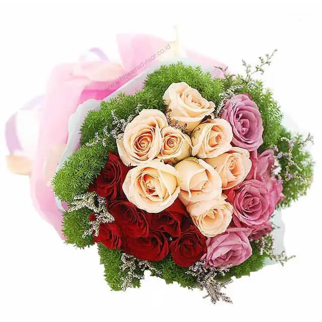 Lovely Dovey Rosy - Valentine's Day