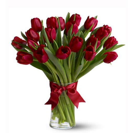 Romantica Tulips - Tulips
