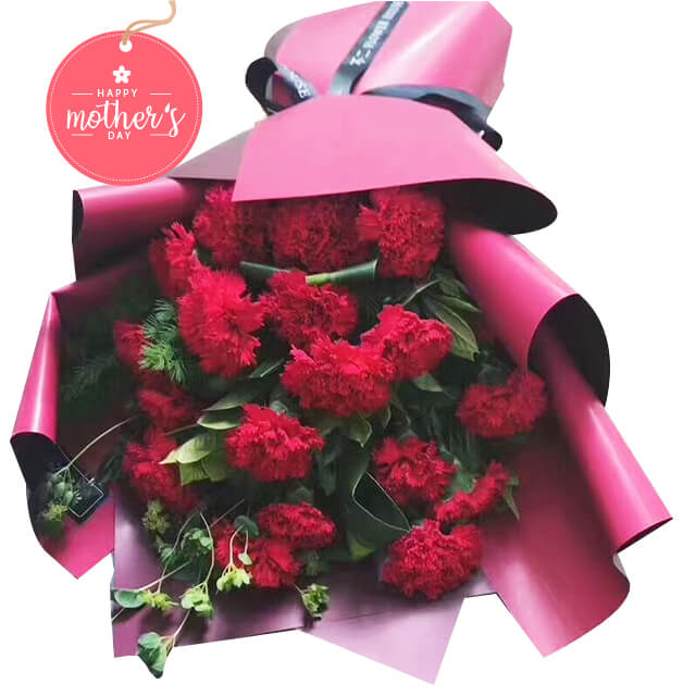 Cherishing Carnations - Carnation