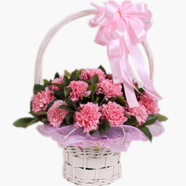 Sweet Carnations - Carnation