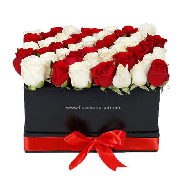 Feeling 22 (Fusion 22 Red & White Roses) - Mothers Day