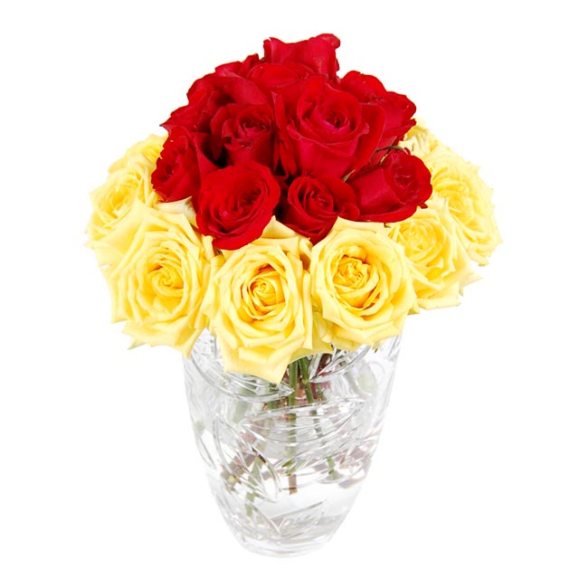 24 Red & Yellow Roses - Mixed Roses