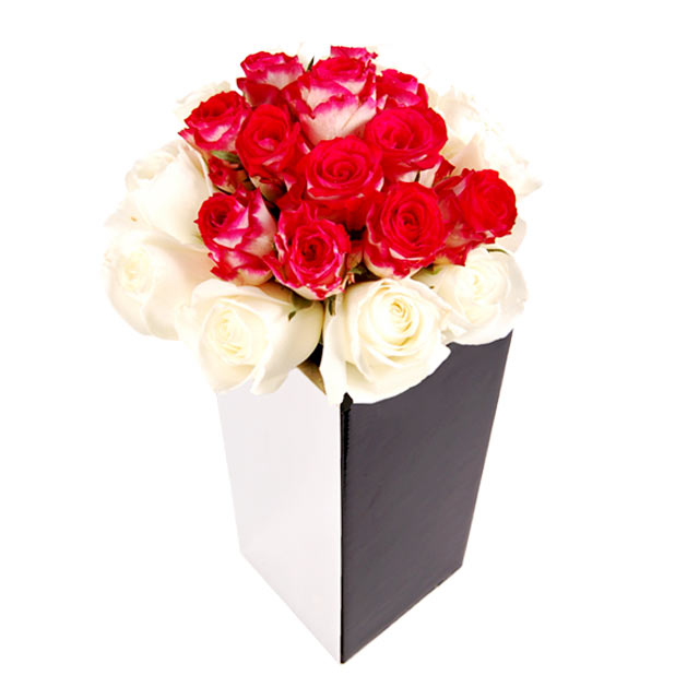 24 Red & White Roses - 