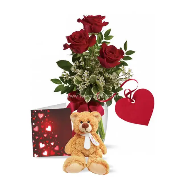 Roses & Teddy Special - Red Roses