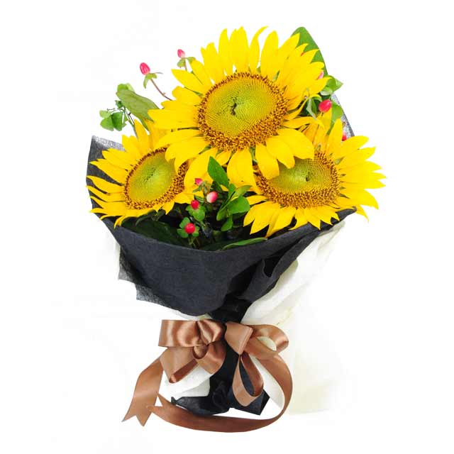 Shining Love - Sunflowers
