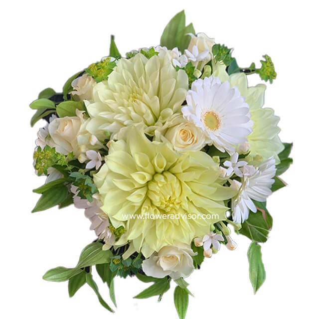 Fresh Dahlia Bouquet - Get Well Soon