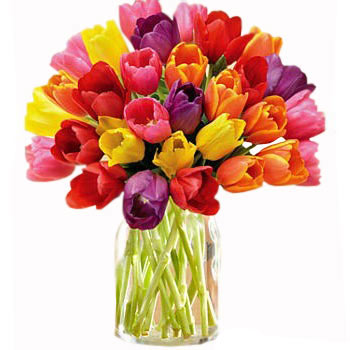 30 Multi Colored Tulips Bouquet - Birthday