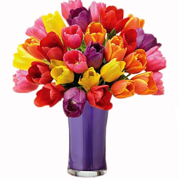 30 Multi Colored Tulips With Amethyst Vase - Get Well Soon