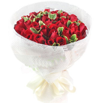 Love Forever - Red Roses