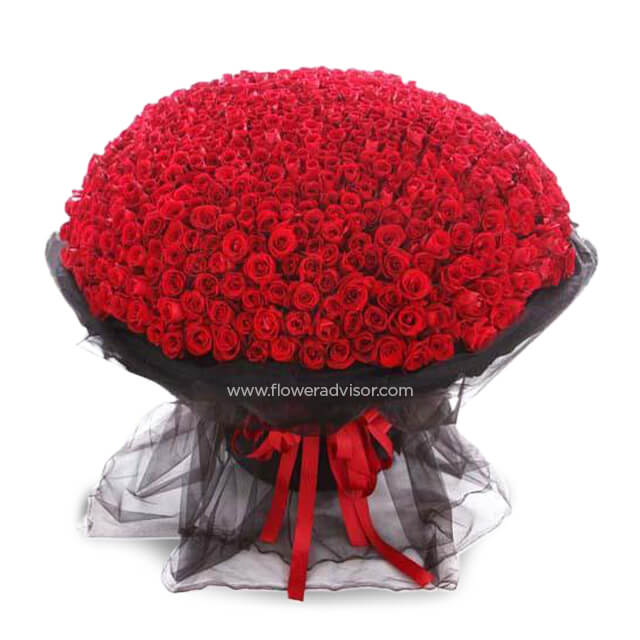 Every Day with You (365 Luxury Red Roses Stalks) - Valentine's Day