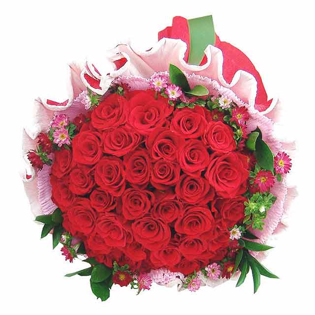Balerina Red Roses - Red Roses