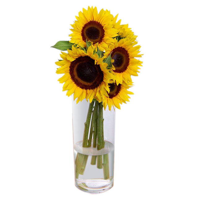 Sunflowers in a vase - Mothers Day