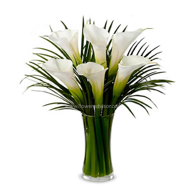 White Calla Lilies Bouquet - Mothers Day