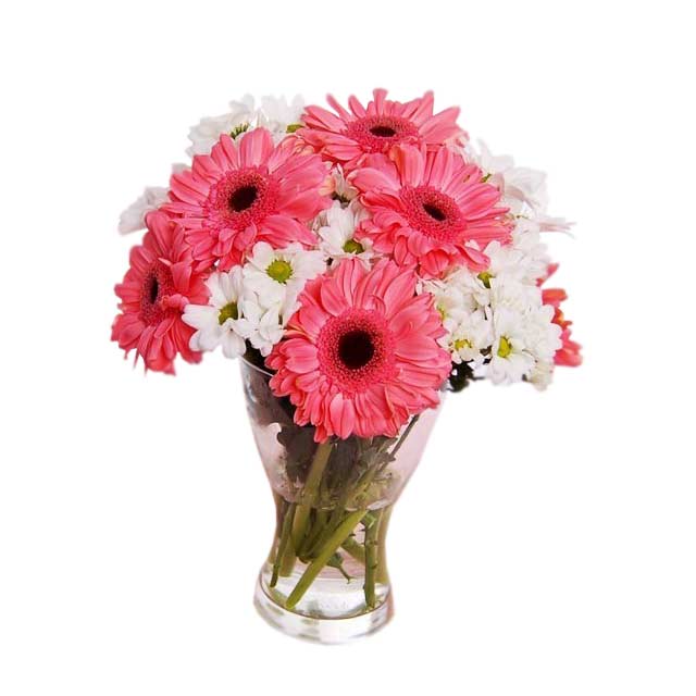 Pinky Pom - Table Flowers
