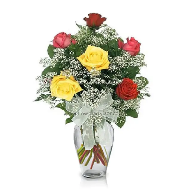 6 Mixed Long Stem Roses - Mixed Roses