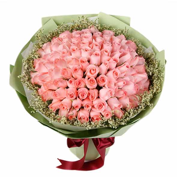 Gorgeous Pink Roses - Romance