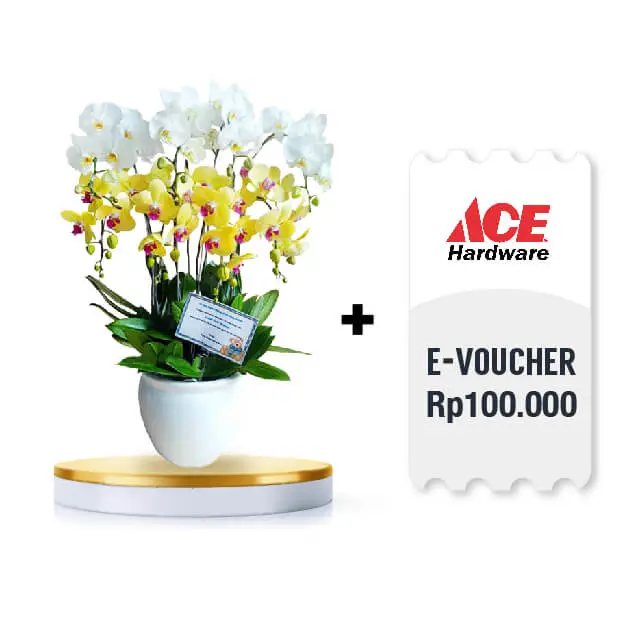 Orchid Radiance with Ace Hardware e-voucher Rp.100.000 - FA x Brand Voucher