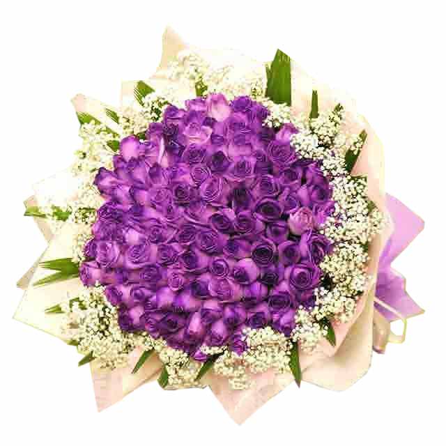 Purple  Pomp - Hand Bouquets