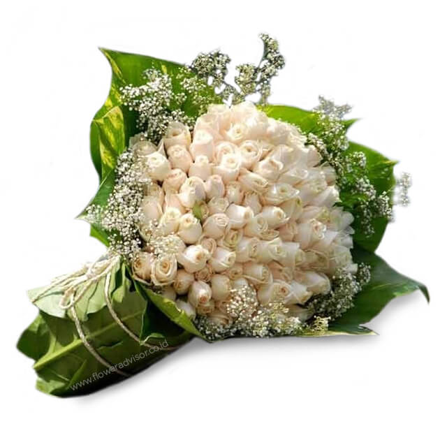 Pure Delight FA - White Roses