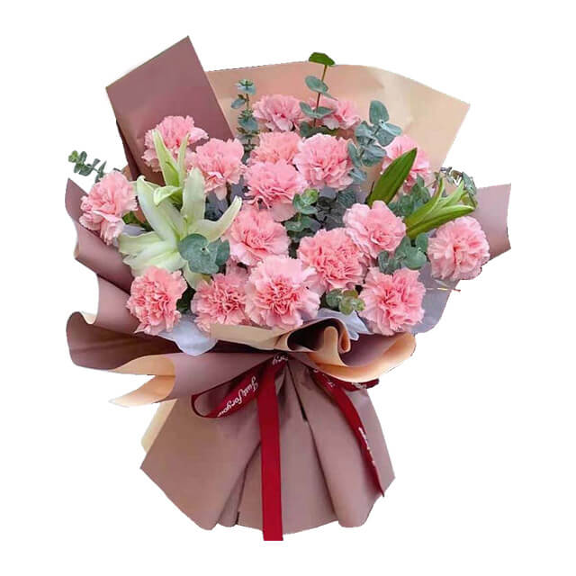 Carnation Charm - Hand Bouquets