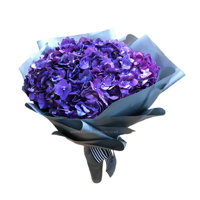 Royal Beauty - Royal Hydrangea Bouquet - Halloween