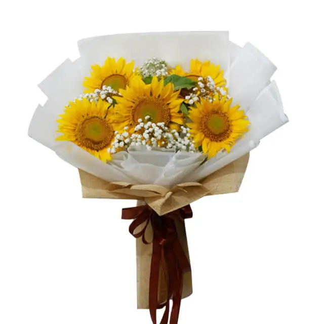 Celestial Sunflower Splendor - Sunflowers