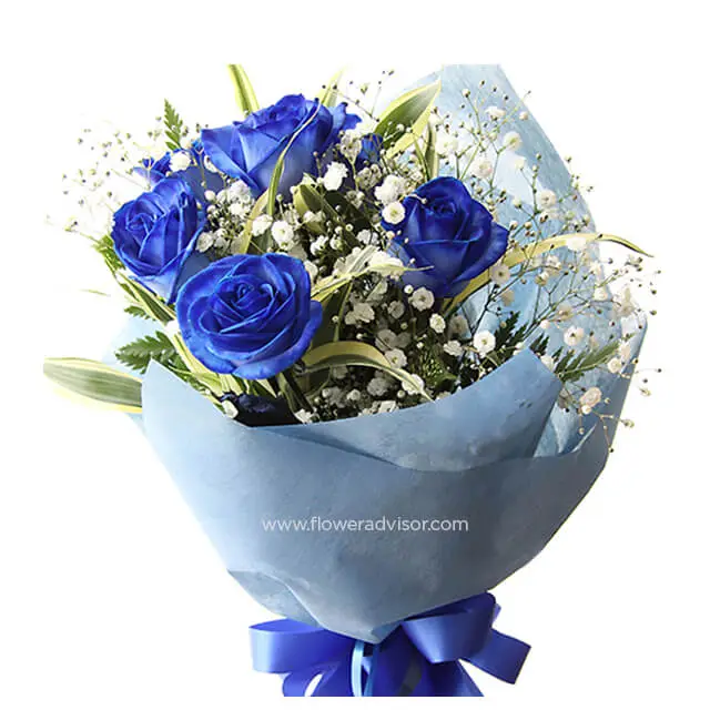 Joren Bleus - Hand Bouquets