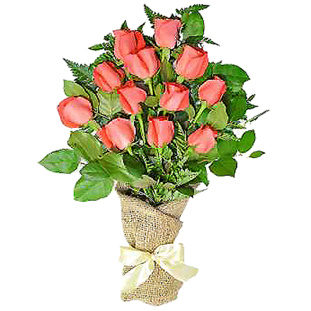 12 Coral Roses - Hand Bouquets