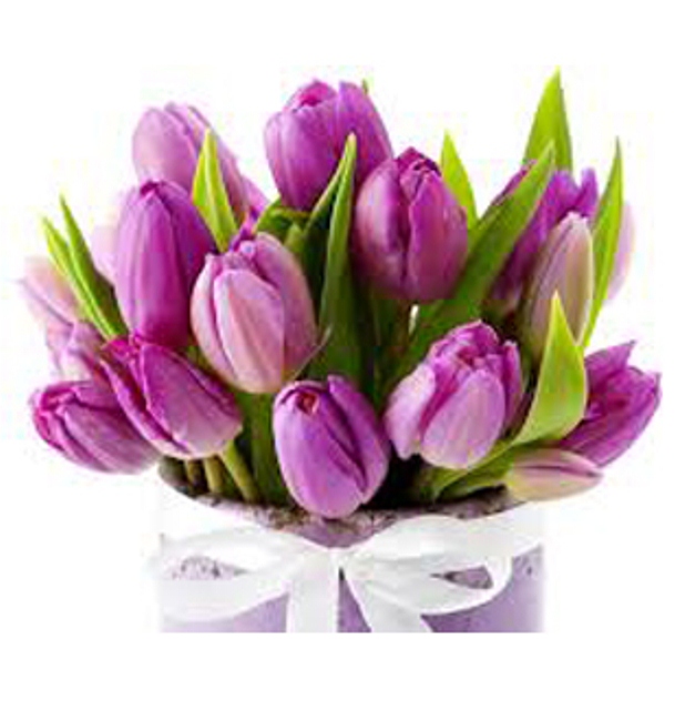 Faithfully - Tulips