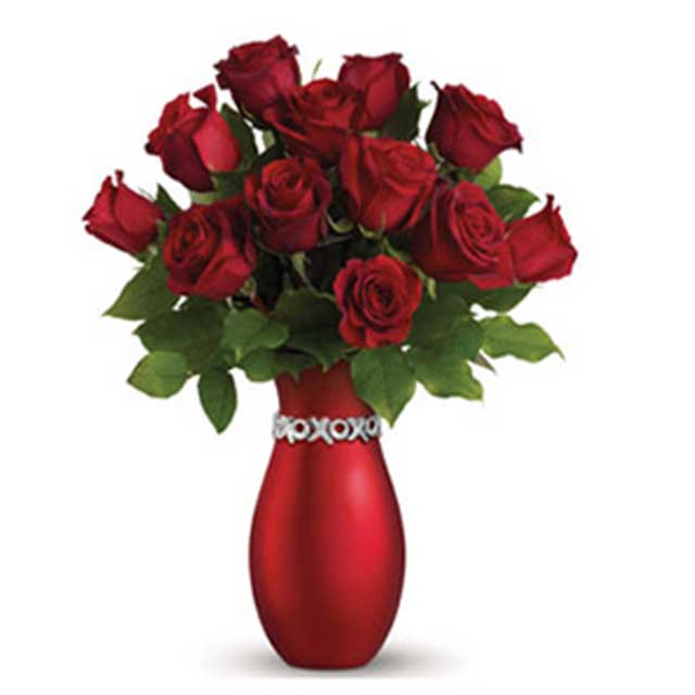 XOXO Passion - Valentine's Day