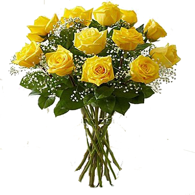 12 Yellow Roses v - Hand Bouquets